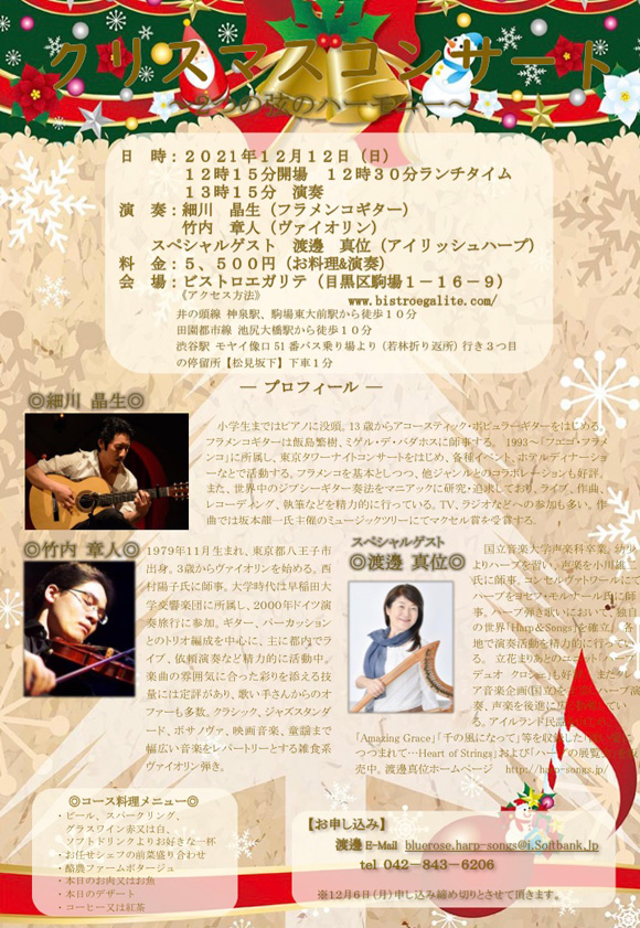 【チラシ画像】クリスマスコンサート　～２つの弦のハーモニー～